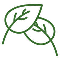 6502fce49fb18_images_small