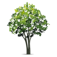 4c0edd1a8d484cb67b03e7216a504b9c17a7b86a